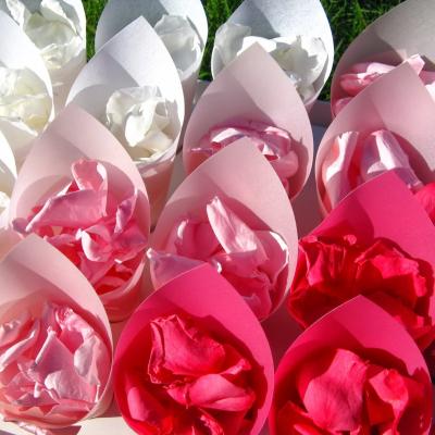 6 способов использовать лепестки роз на свадьбе