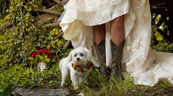 Свадебная осенняя фотосессия с собакой