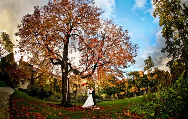 5 идей для свадебной фотосессии осенью на природе