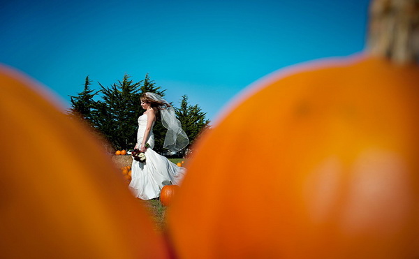Свадебная осенняя фотосессия с тыквами