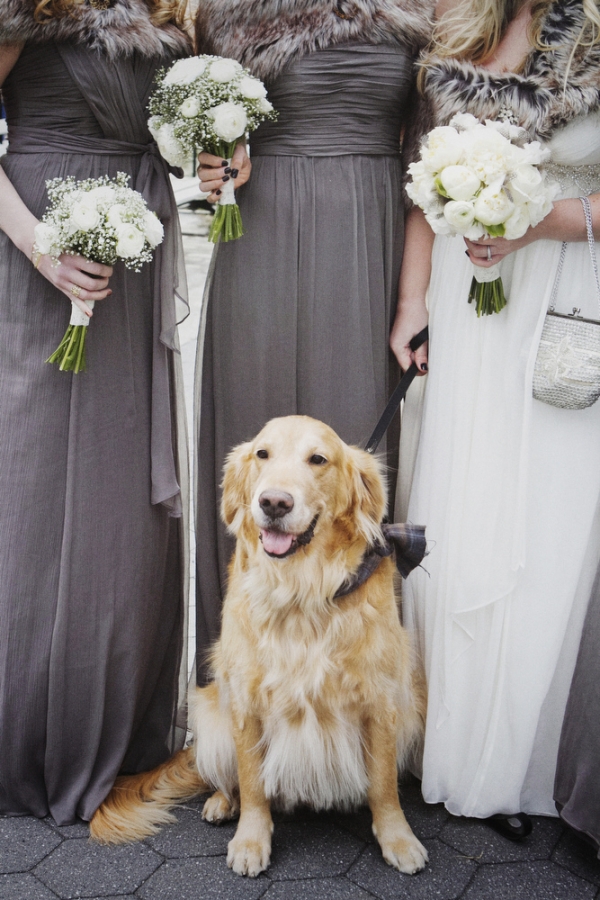 зимняя свадьба идеи фотосессии с собакой