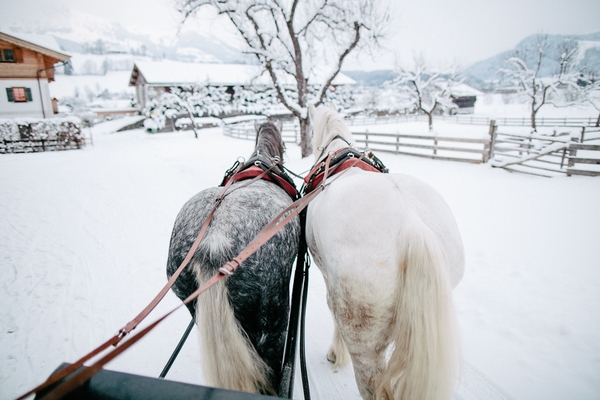 Идея фотосессии для зимней свадьбы на лошадях