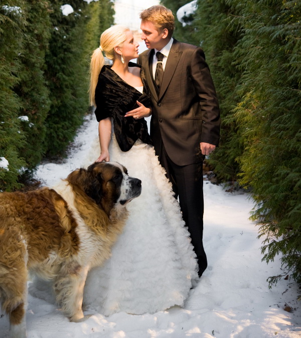 зимняя свадьба идеи фотосессии с собакой